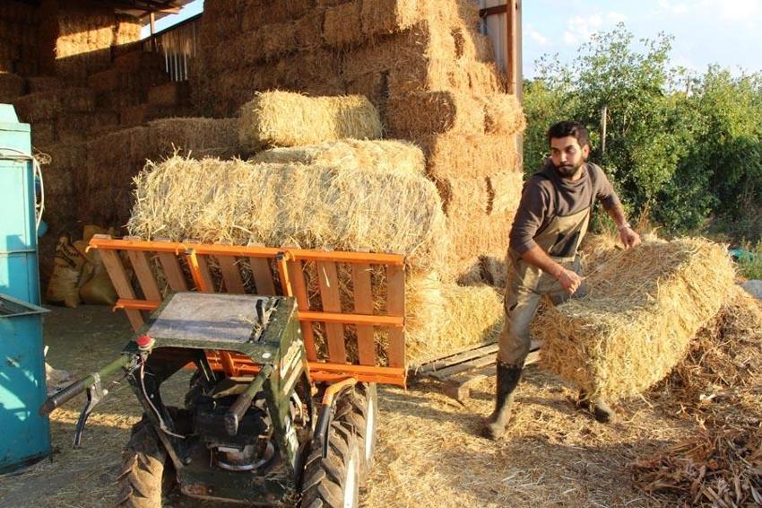 Üniversiteyi bitirip köyüne döndü! Büyük kazanç elde ediyor