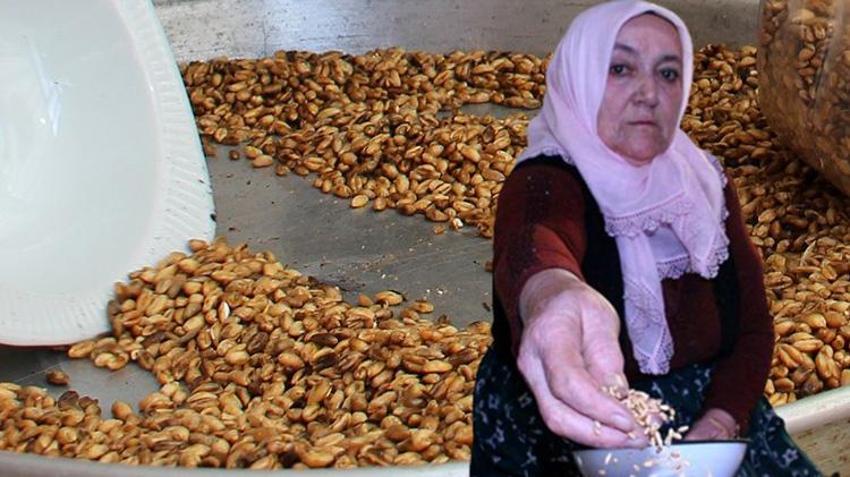 Hollanda, Fransa dahil çok sayıda ülkeye ihraç ediliyor, kilosu 70 liraya satılıyor! Yoğun ilgi var
