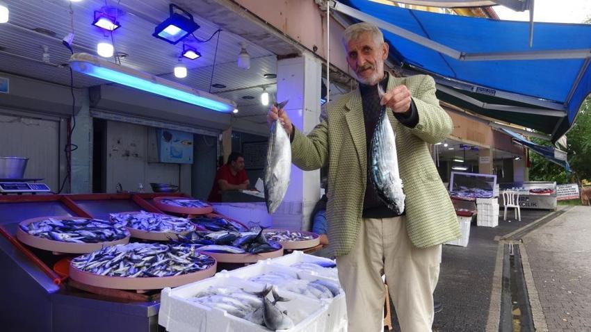 Tanesi 25 liradan tezgahlarda! Ucuz balık için son günler