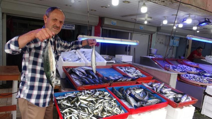Tanesi 25 liradan tezgahlarda! Ucuz balık için son günler