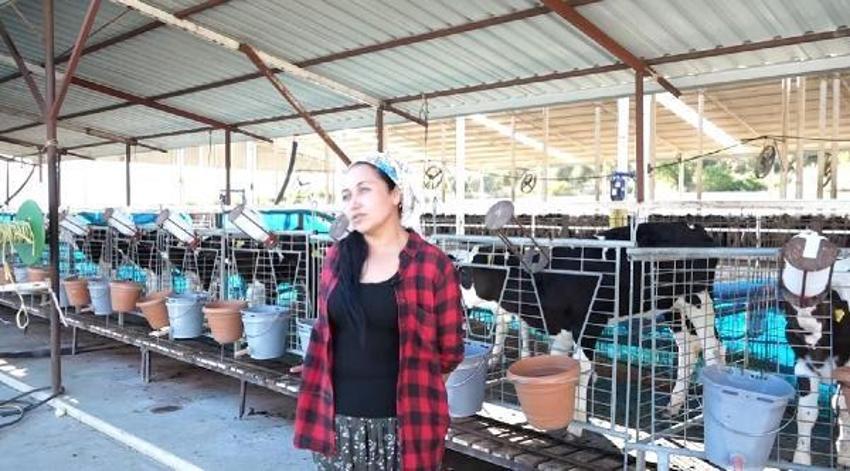 Son dakika hibe açıklaması! 10 milyar TL'lik destek