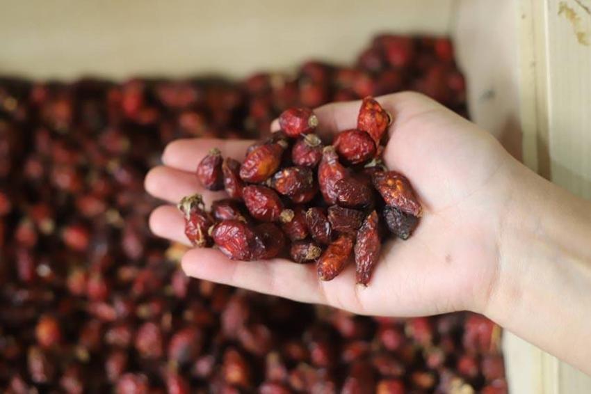 Kış geldi satışlar patladı! Akın ediyorlar