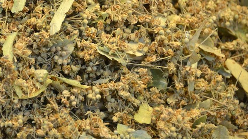 Kilosu 600 liradan satılıyor! Talep patladı, vatandaşlar akın ediyor