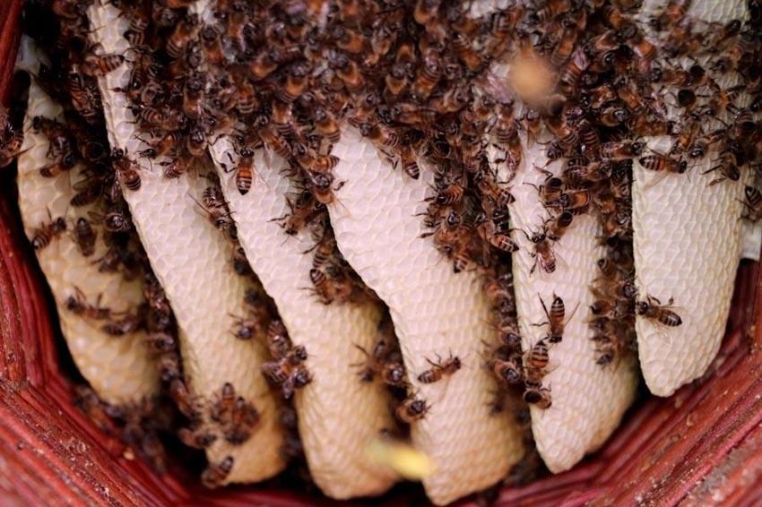 Girişimci kadınlara devletten destek! ‘Dünyanın en iyisini üretiyoruz’
