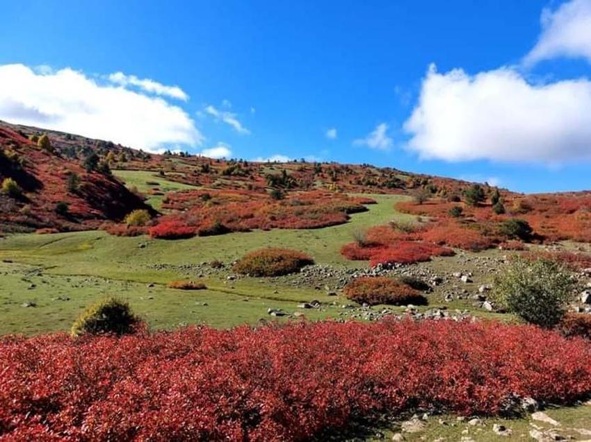 Ordu yaylalarında sonbahar güzelliği
