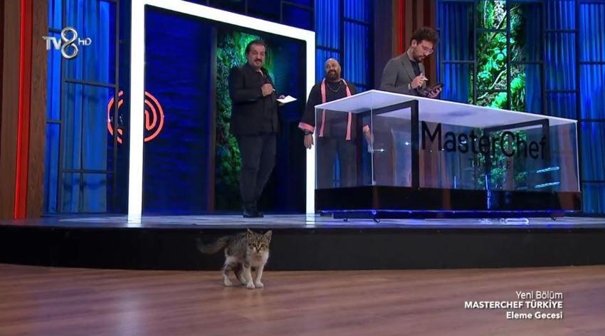 Masterchef Türkiye 30 Ekim 2022 elenen isim belli oldu! Tayfun mu, Serpilay mı, Büşra mı?