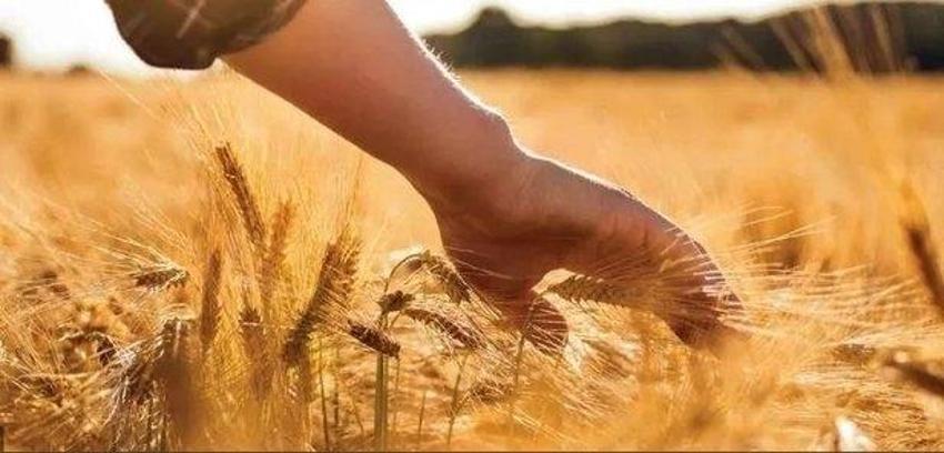 2022 Mazot gübre desteği ne zaman ödenecek (Ziraat Bankası), bu ay yattı mı? Tarım ve Orman bakanlığı mazot ve gübre desteği bu ay mı yatacak?