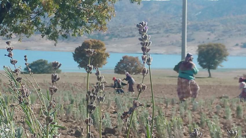 Ünlü ismin kızı babasının hayalini gerçekleştirdi! Türkiye’nin en büyüğünü kurdu