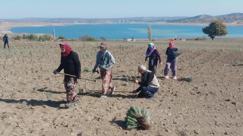 Ünlü ismin kızı babasının hayalini gerçekleştirdi! Türkiye’nin en büyüğünü kurdu