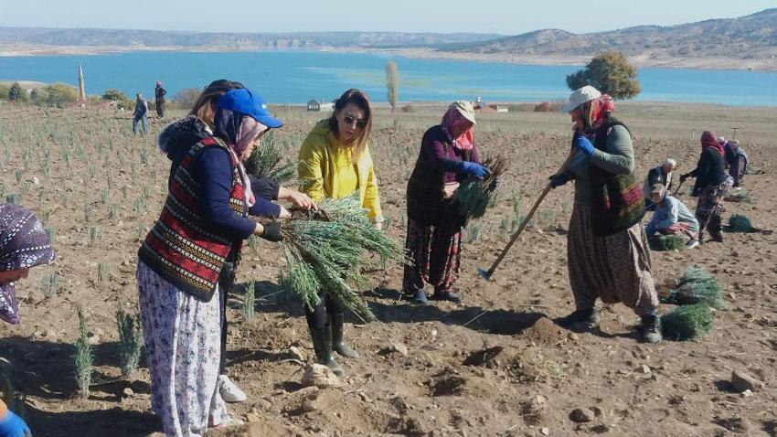 Ünlü ismin kızı babasının hayalini gerçekleştirdi! Türkiye’nin en büyüğünü kurdu