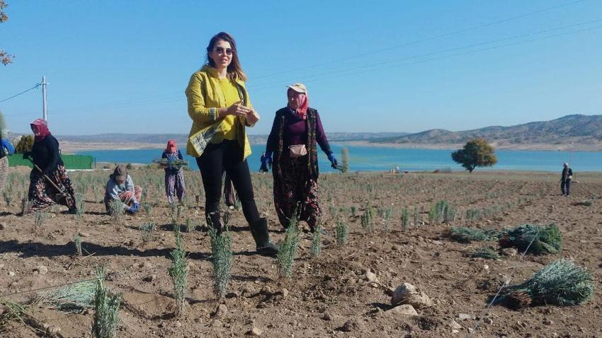 Ünlü ismin kızı babasının hayalini gerçekleştirdi! Türkiye’nin en büyüğünü kurdu