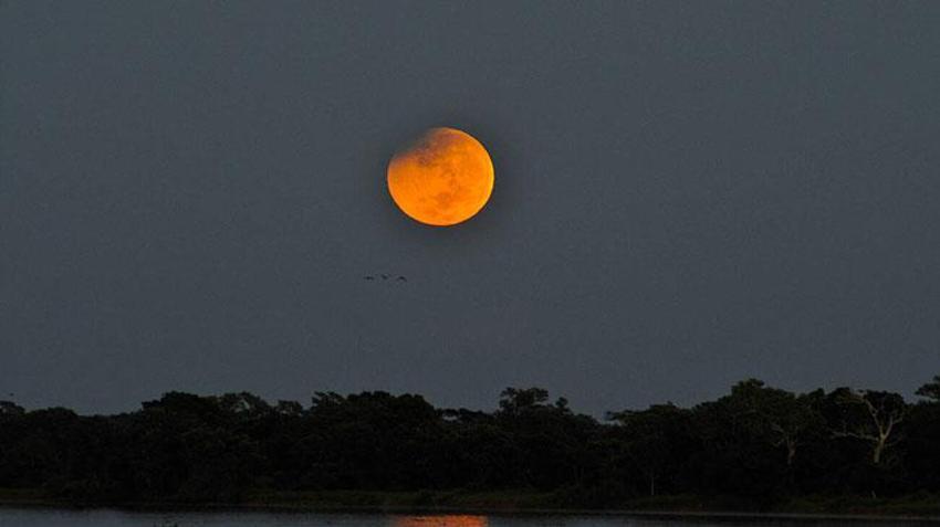 Kanlı Ay tutulması nedir? Kanlı Ay tutulması nasıl olur, etkileri ne? Kunduz Ayı nedir?