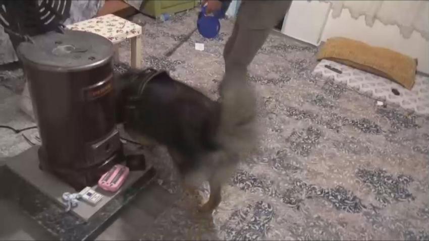 Taksim'deki saldırıyı gerçekleştiren terörist böyle yakalandı!