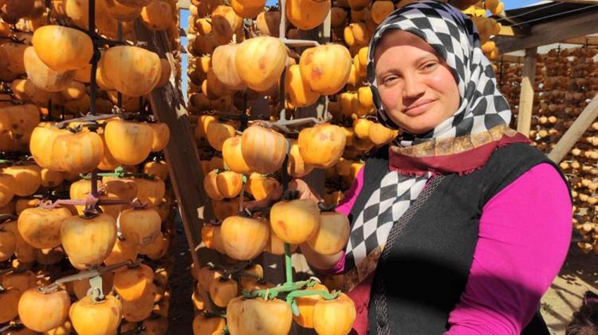 Kilosu 7 lira, kurutulunca 90 liraya yükseliyor! 'Lezzeti daha farklı oluyor'