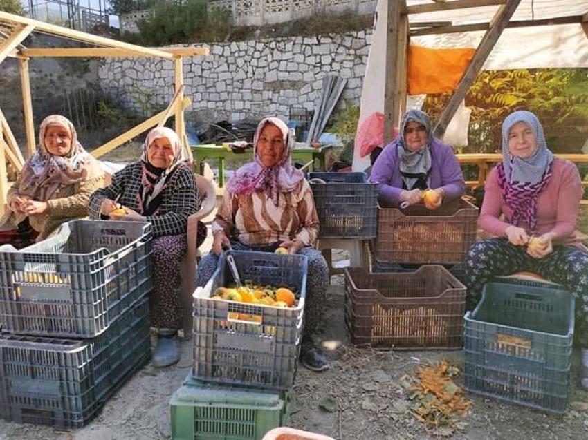 Kilosu 7 lira, kurutulunca 90 liraya yükseliyor! 'Lezzeti daha farklı oluyor'