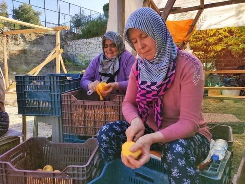 Kilosu 7 lira, kurutulunca 90 liraya yükseliyor! 'Lezzeti daha farklı oluyor'