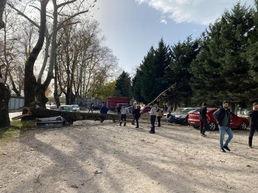 Marmara Bölgesi'nde yaşanan kuvvetli rüzgar hayatı felç etti