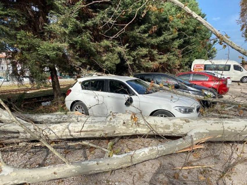 Marmara Bölgesi'nde yaşanan kuvvetli rüzgar hayatı felç etti