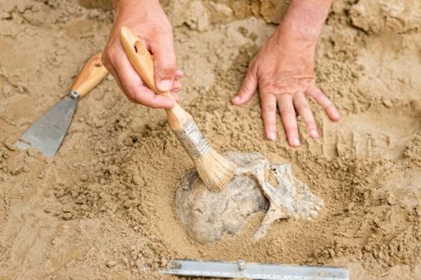 Cinsel hastalık kafatasını yedi! Ölmeden önce nasıl göründüğü ortaya çıktı