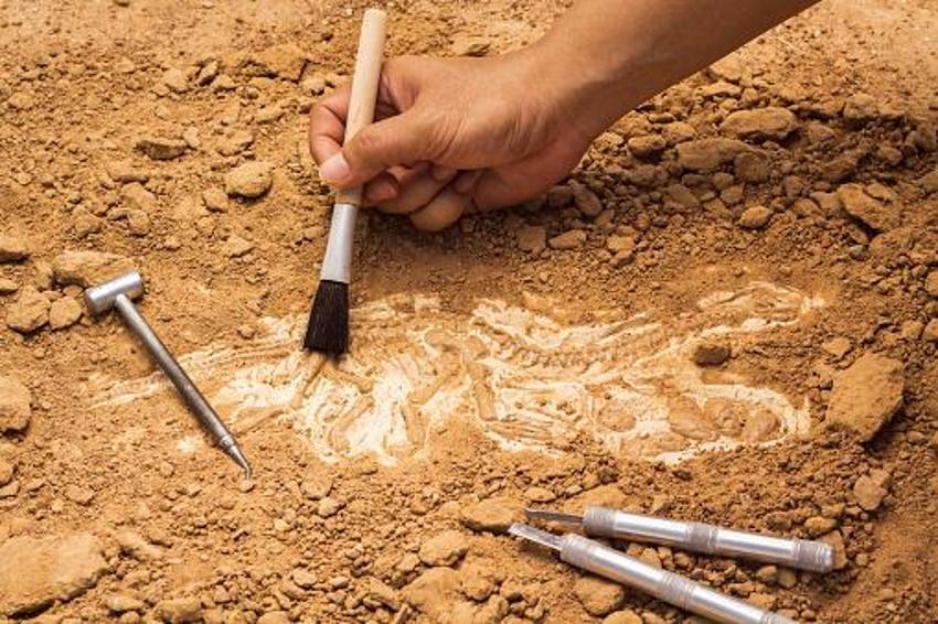 Cinsel hastalık kafatasını yedi! Ölmeden önce nasıl göründüğü ortaya çıktı