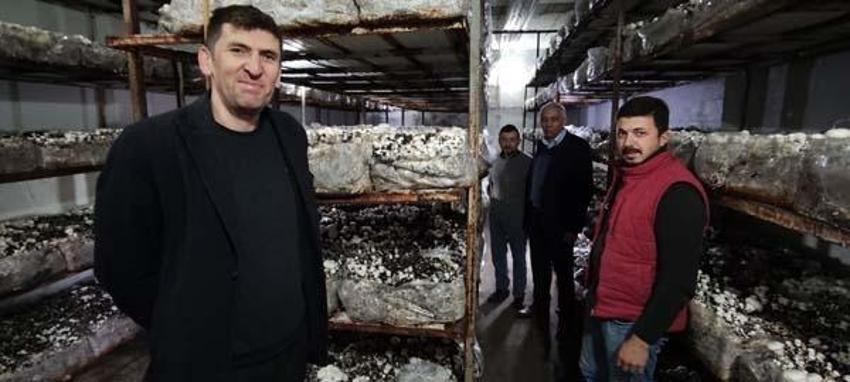 Yılda 3 milyon TL kazanıyor! 400 metrekare alanda yetiştiriyor, kilosu 30 lira