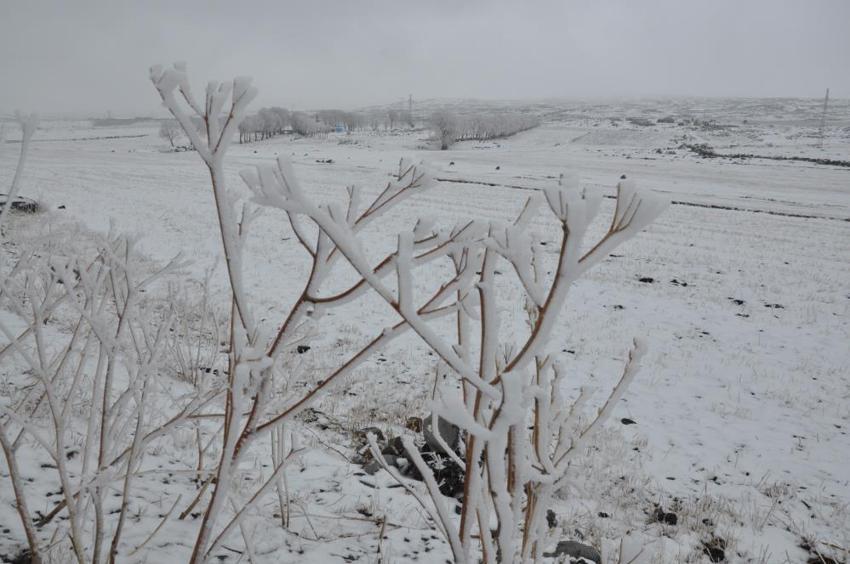 Kuvvetli kar geliyor! Sıcaklıklar 2 dereceye düşecek, Meteoroloji son dakika il il duyurdu