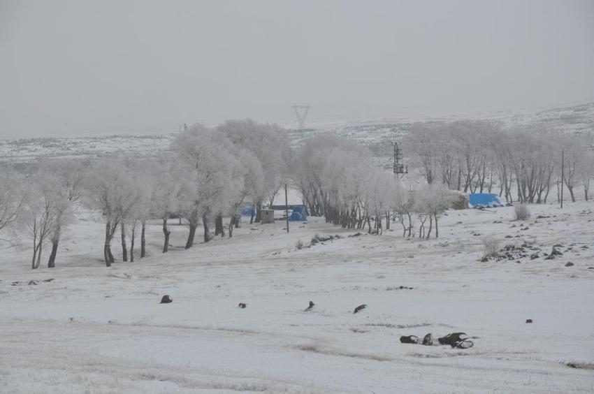 Kuvvetli kar geliyor! Sıcaklıklar 2 dereceye düşecek, Meteoroloji son dakika il il duyurdu