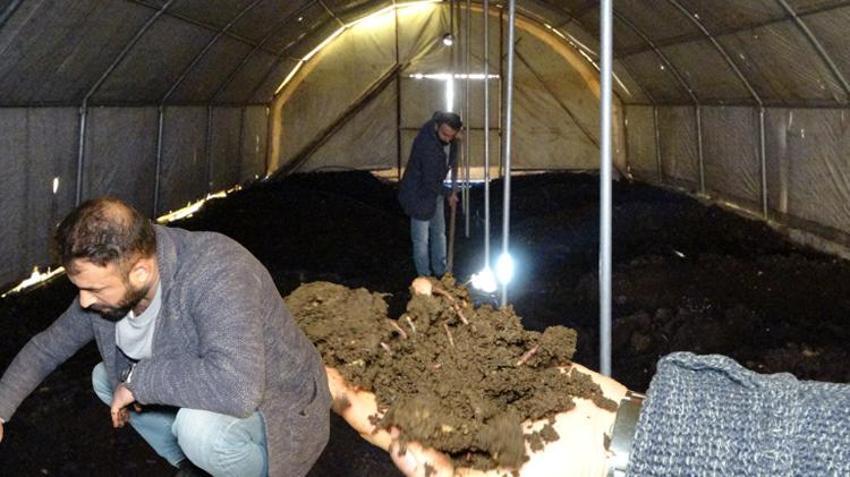 Solucan gübresi siparişlerine yetişemiyorlar! Satışları her yıl artıyor