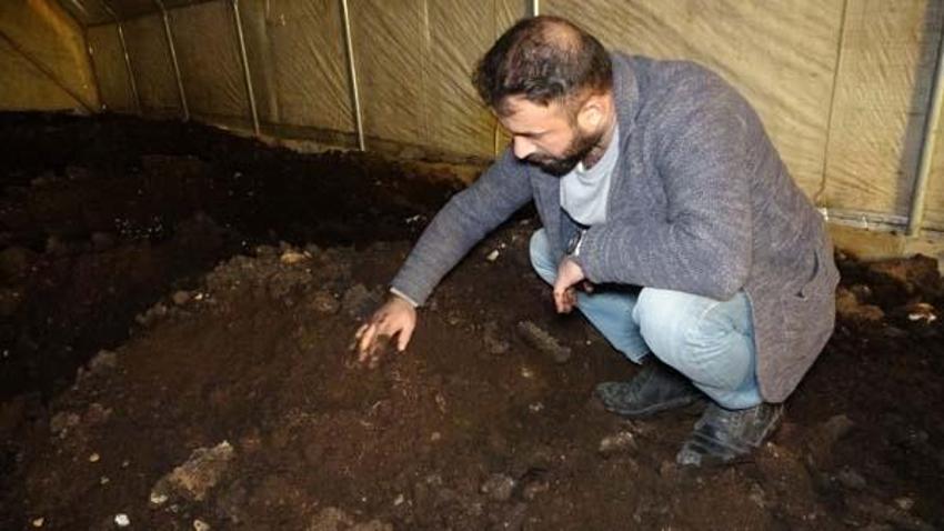 Solucan gübresi siparişlerine yetişemiyorlar! Satışları her yıl artıyor
