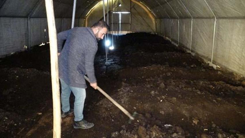 Solucan gübresi siparişlerine yetişemiyorlar! Satışları her yıl artıyor