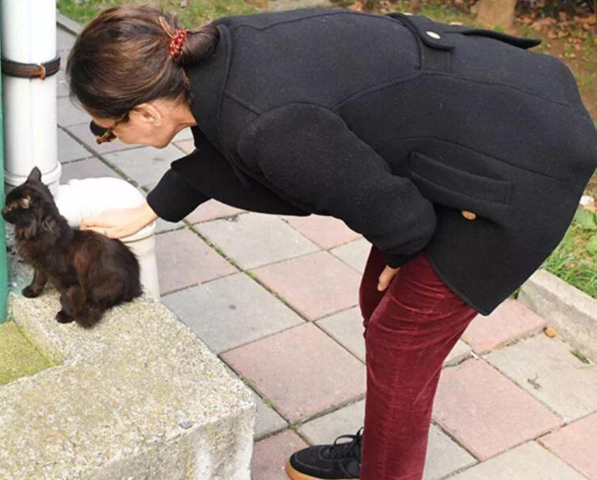 Hülya Avşar: Çok yakışıklı erkek cazip gelmiyor, sevmiyorum!