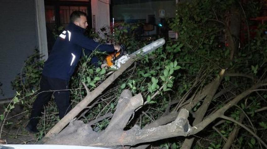 Şiddetli lodosun etkisiyle kırılan ağaç, park halindeki otomobilin üzerine düştü