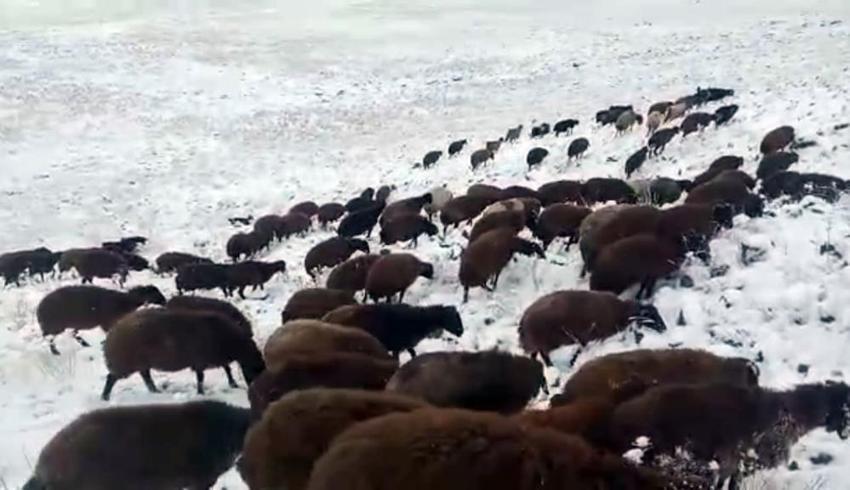 Meteoroloji son dakika duyurdu! Kar yağışı başlıyor, iller tek tek açıklandı