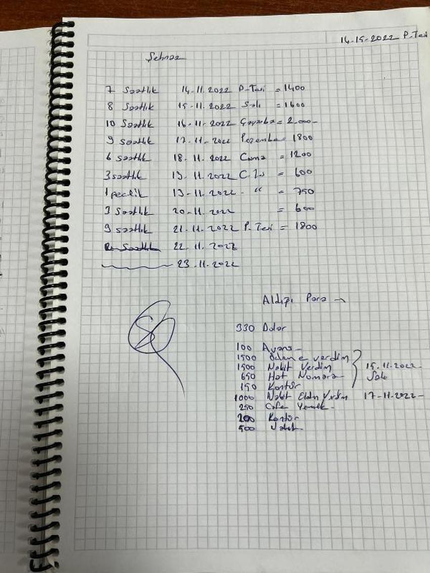 Tatile gelen Rus jinekoloğa, 2,5 ay zorla fuhuş yaptırmışlar