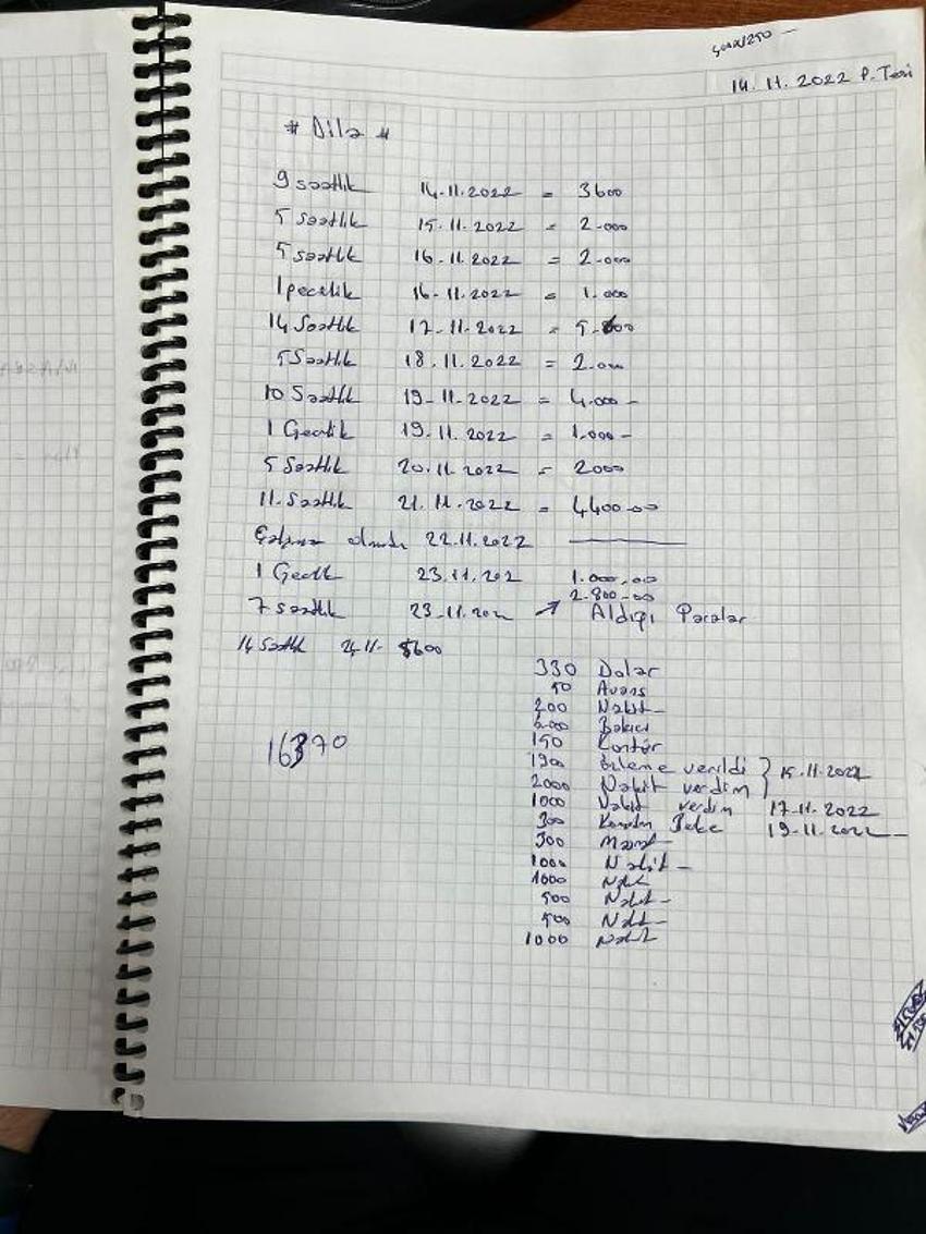 Tatile gelen Rus jinekoloğa, 2,5 ay zorla fuhuş yaptırmışlar