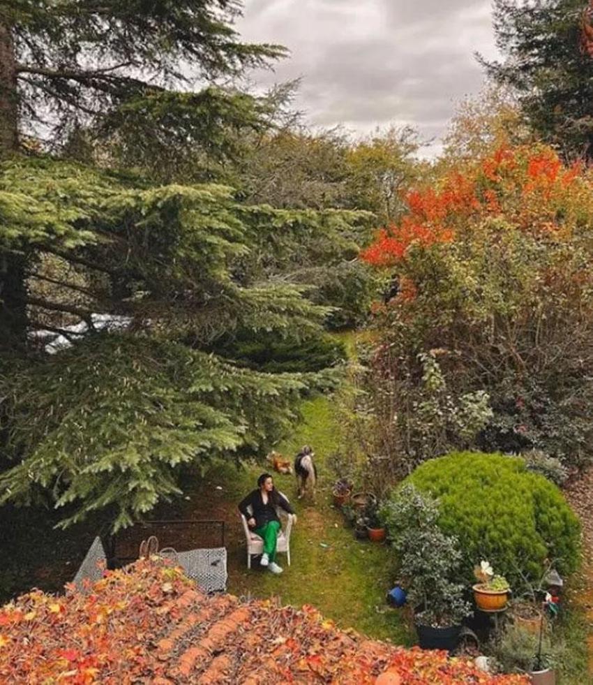 Ünlüler İstanbul'dan tasını tarağını toplayıp kaçıyor! Usta oyuncu, 'Ailem ve benim için en doğru karar' diyerek duyurdu
