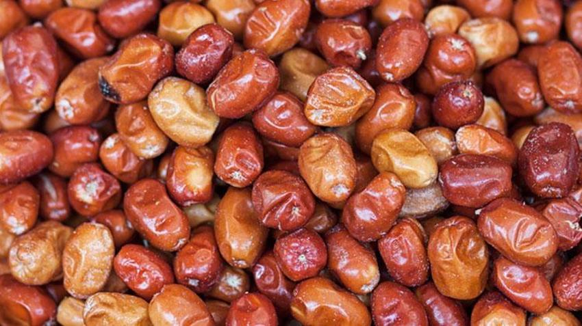 Öksürüğü anında kesiyor, bağışıklık sistemini çelik gibi yapıyor! Tam bir vitamin ve kalsiyum zengini