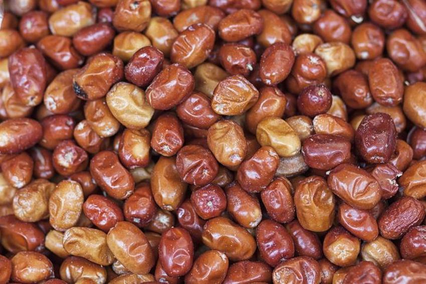 Öksürüğü anında kesiyor, bağışıklık sistemini çelik gibi yapıyor! Tam bir vitamin ve kalsiyum zengini