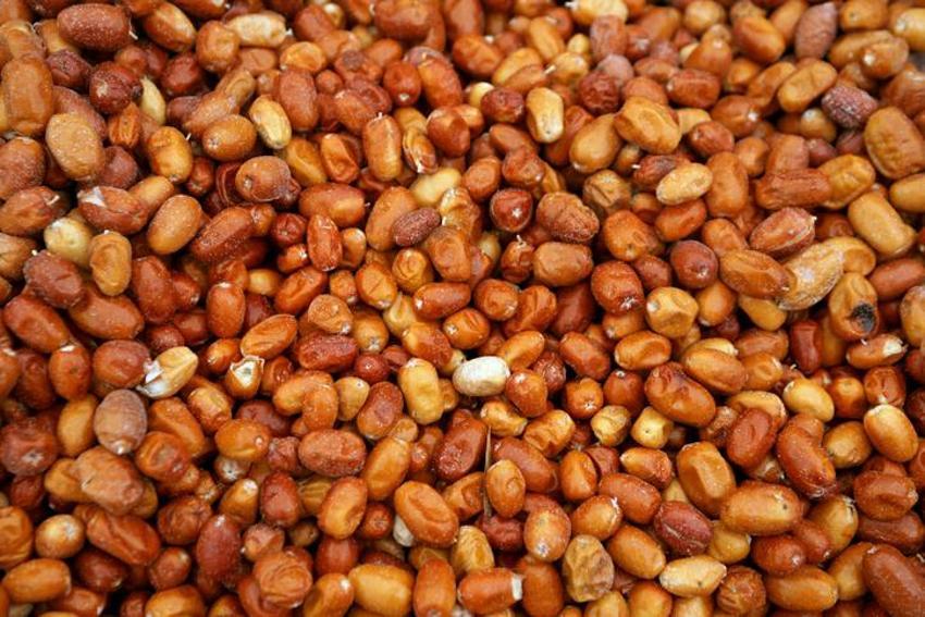 Öksürüğü anında kesiyor, bağışıklık sistemini çelik gibi yapıyor! Tam bir vitamin ve kalsiyum zengini
