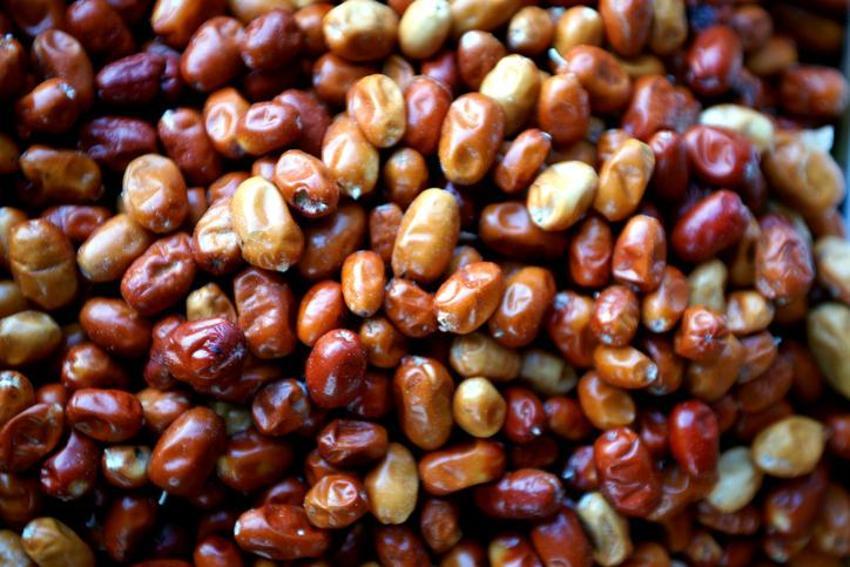 Öksürüğü anında kesiyor, bağışıklık sistemini çelik gibi yapıyor! Tam bir vitamin ve kalsiyum zengini