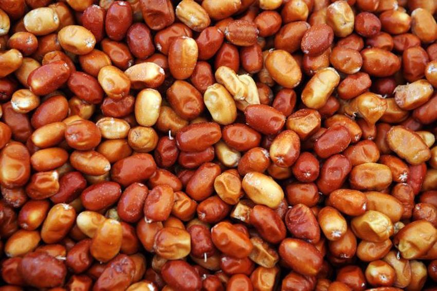 Öksürüğü anında kesiyor, bağışıklık sistemini çelik gibi yapıyor! Tam bir vitamin ve kalsiyum zengini