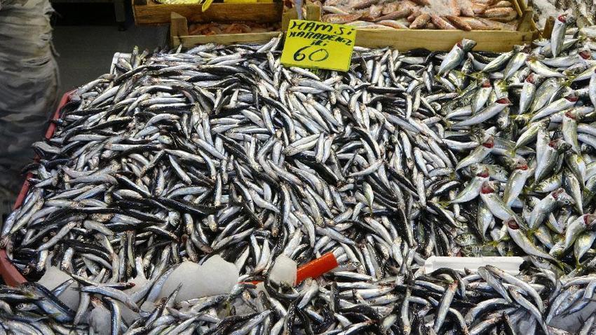 Tezgahlarda hamsi patlaması, yüzde 70 arttı! Fiyatlar düştükçe düşüyor, kilosu 50 lira
