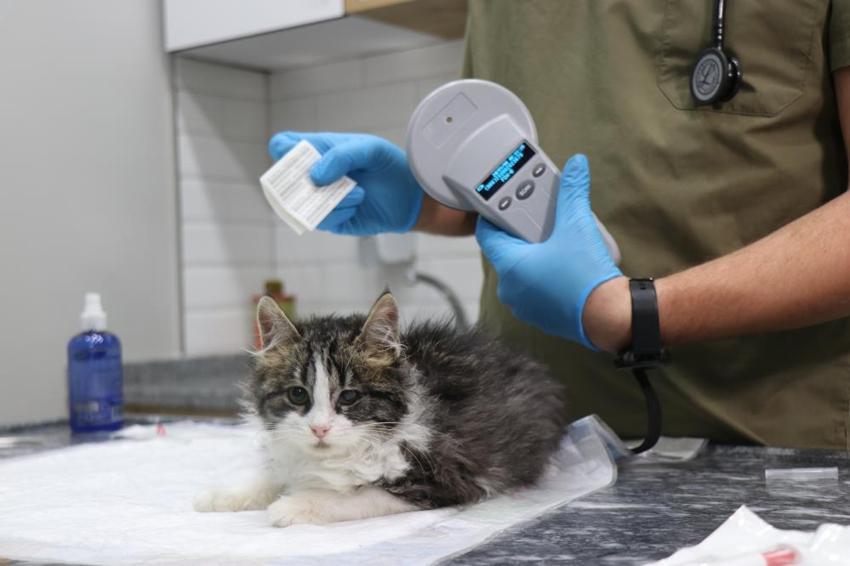 Son 6 gün! Ek süre talep edildi 