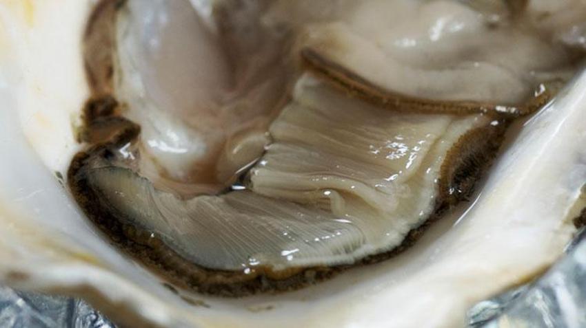 Östrojen ve testosteronu dengeliyor, afrodizyak etkisi ile cinsel performansı artırıyor