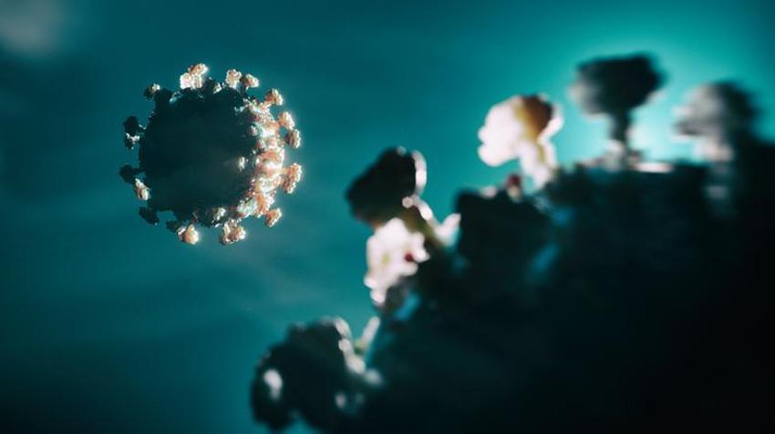 Koronavirüs salgını yeniden hortladı, dünya alarma geçti! Ölüm dalgası geliyor...