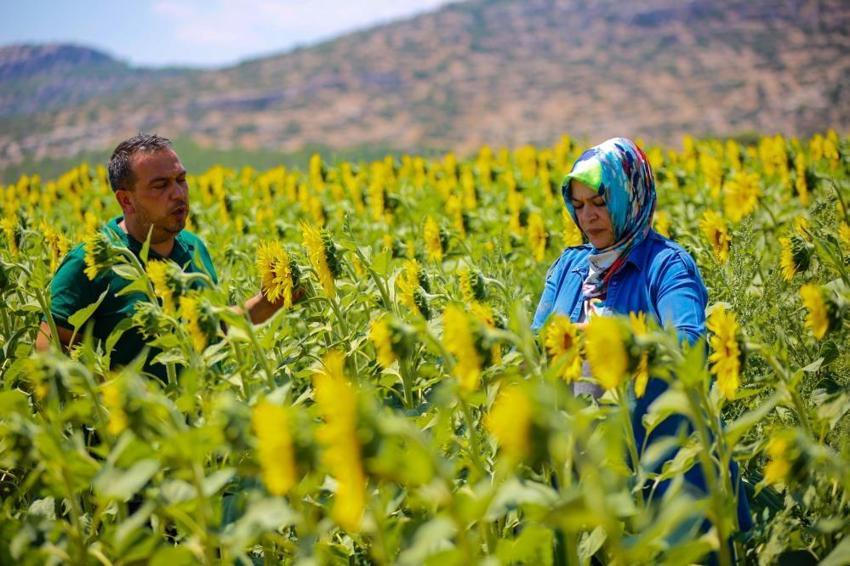 Türkiye'de bir ilk! Tarımda yeni uygulama hayata geçiyor