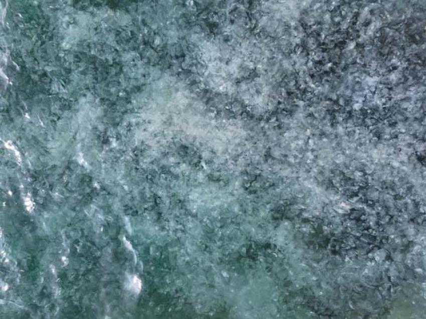 İstanbul Boğazı'nı istila ettiler! Sahil beyaza büründü, gören şoke oldu