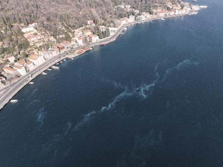 İstanbul Boğazı'nı istila ettiler! Sahil beyaza büründü, gören şoke oldu