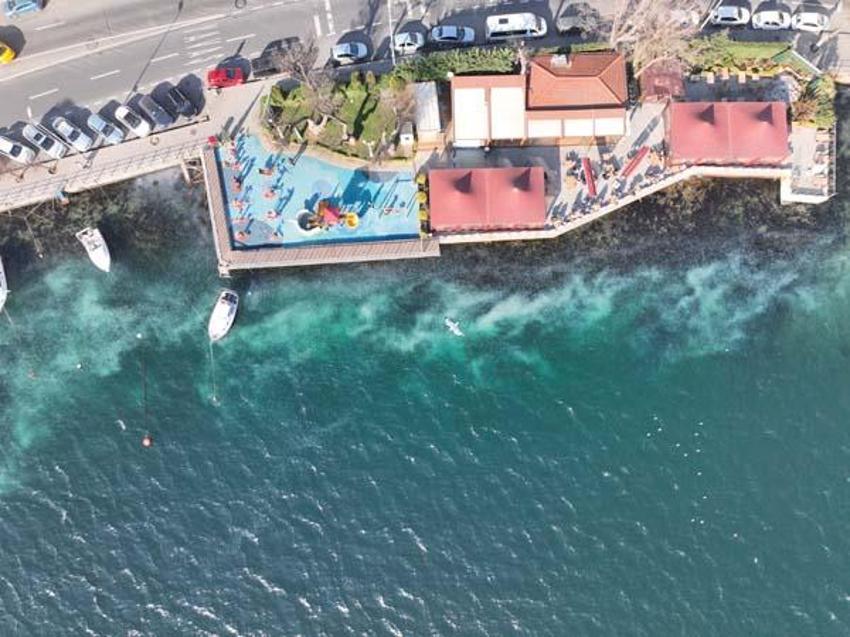 İstanbul Boğazı'nı istila ettiler! Sahil beyaza büründü, gören şoke oldu