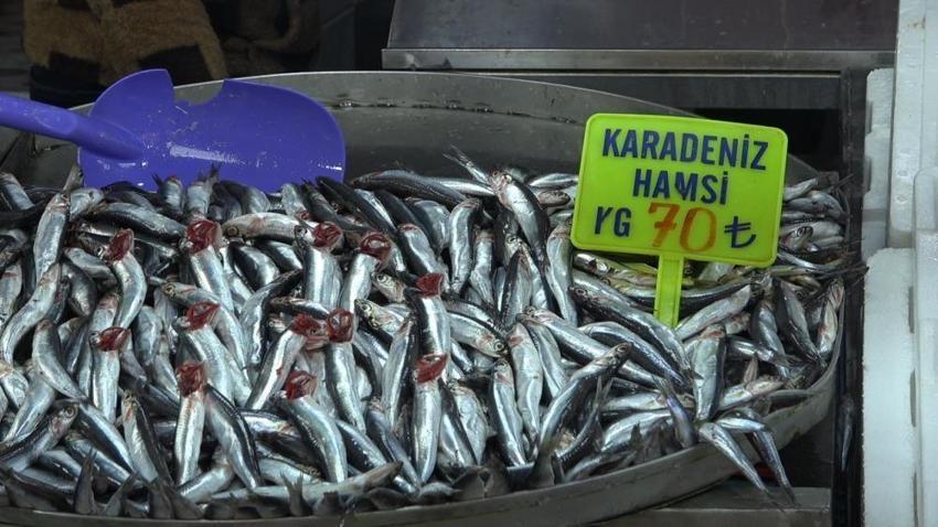 Tezgahlar çinekop ile şenlendi! Fiyatı 150 TL